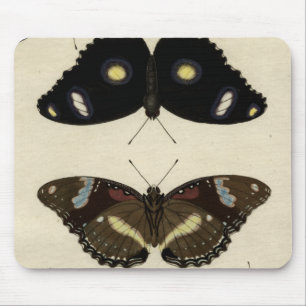 Farbenfrohe Butterfly-Medley auf Creme Background Mousepad