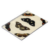 Farbenfrohe Butterfly-Medley auf Creme Background Notizblock (Linke Seite)