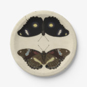 Farbenfrohe Butterfly-Medley auf Creme Background Pappteller (Vorderseite)