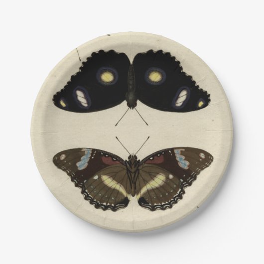 Farbenfrohe Butterfly-Medley auf Creme Background Pappteller (Vorderseite)