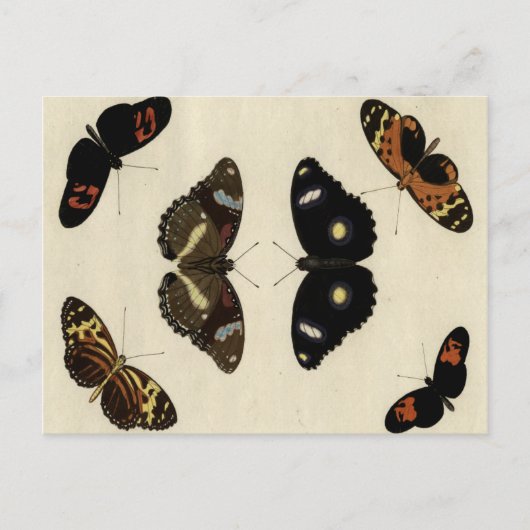 Farbenfrohe Butterfly-Medley auf Creme Background Postkarte (Vorderseite)