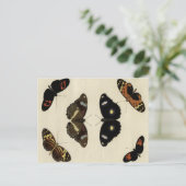 Farbenfrohe Butterfly-Medley auf Creme Background Postkarte (Stehend Vorderseite)