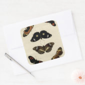 Farbenfrohe Butterfly-Medley auf Creme Background Quadratischer Aufkleber (Umschlag)