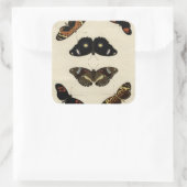 Farbenfrohe Butterfly-Medley auf Creme Background Quadratischer Aufkleber (Tasche)