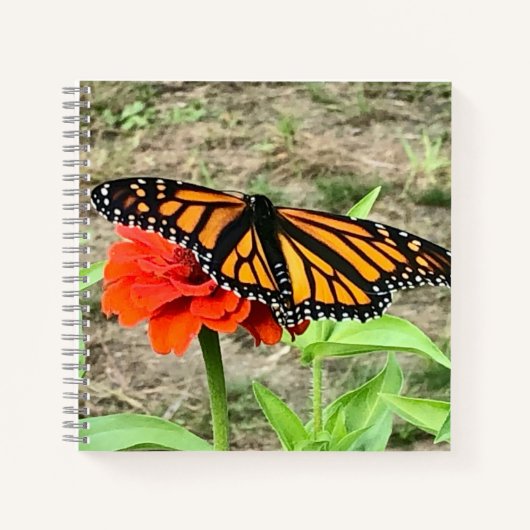 Farbenfrohe Butterfly Notizblock (Vorderseite)