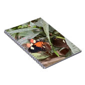 Farbenfrohe Butterfly Notizblock (Rechte Seite)