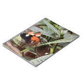 Farbenfrohe Butterfly Notizblock (Linke Seite)
