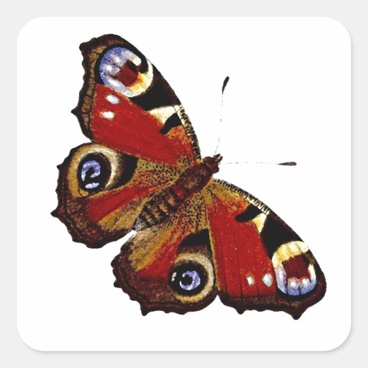Farbenfrohe Butterfly Quadratischer Aufkleber (Vorderseite)