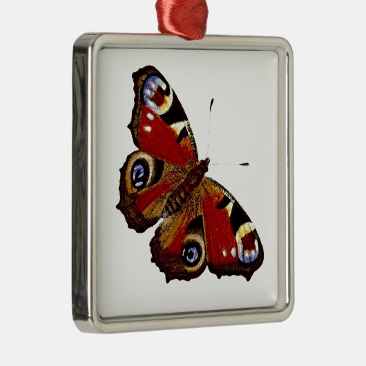 Farbenfrohe Butterfly Silbernes Ornament (Rechts)