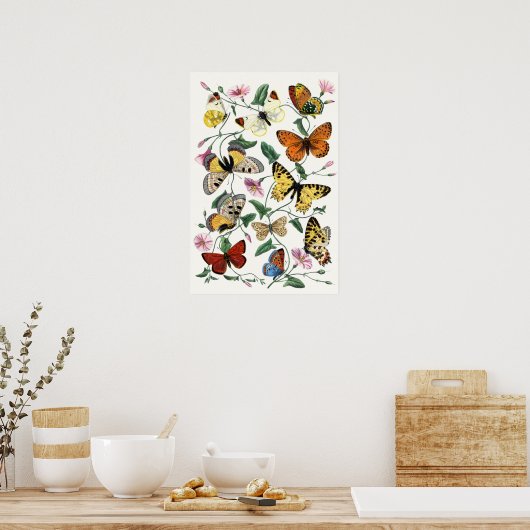 Farbenfrohe Butterfly Sketch Poster (Küche)
