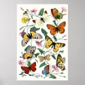 Farbenfrohe Butterfly Sketch Poster (Vorne)