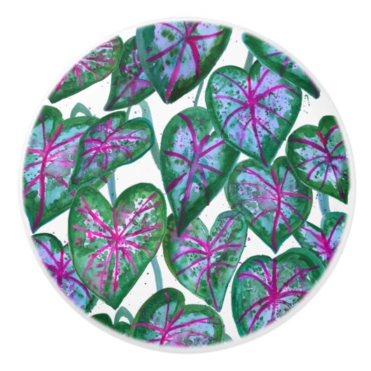 Farbenfrohe Caladia Keramikknauf (Vorderseite)