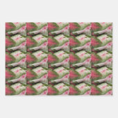 Farbenfrohe Caladium Blätter Blumenmuster (Vorderseite 3)