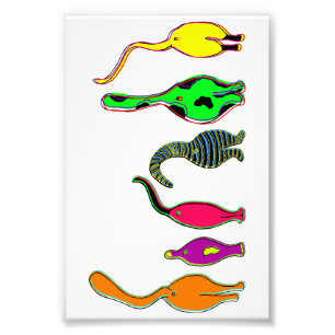 Farbenfrohe Cat Hintern Fotodruck