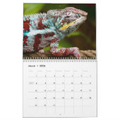 Farbenfrohe Chamäleons 2026 Kalender (Mär 2026)