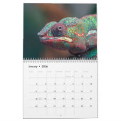 Farbenfrohe Chamäleons 2026 Kalender (Jan 2026)