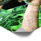 Farbenfrohe Chameleon Poster (Ecke)