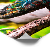 Farbenfrohe Chameleon Poster (Ecke)