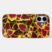 Farbenfrohe Coleus Pflanze Blätter Case-Mate iPhone Hülle (Rückseite (Horizontal))
