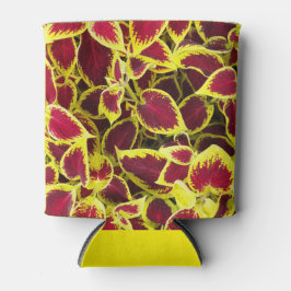 Farbenfrohe Coleus Pflanze Blätter Dosenkühler