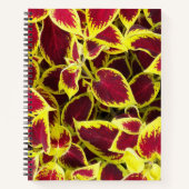 Farbenfrohe Coleus Pflanze Blätter florales Notebo Notizblock (Vorderseite)