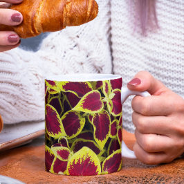 Farbenfrohe Coleus Pflanze Blätter Tasse