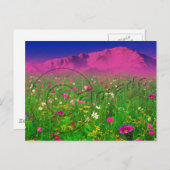 Farbenfrohe Colorado, Pikes Peak Mountain Postkarte (Vorne/Hinten)