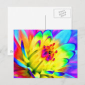 farbenfrohe Dahlie Postkarte (Vorne/Hinten)