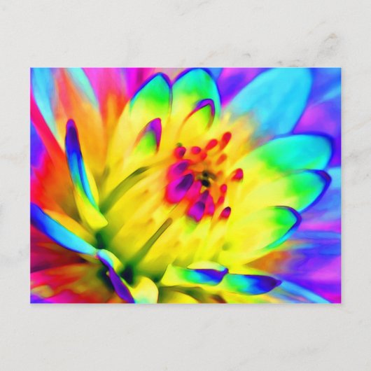 farbenfrohe Dahlie Postkarte (Vorderseite)