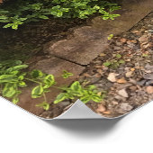 Farbenfrohe Dekoration aus Windows & Bench Garden (Ecke)