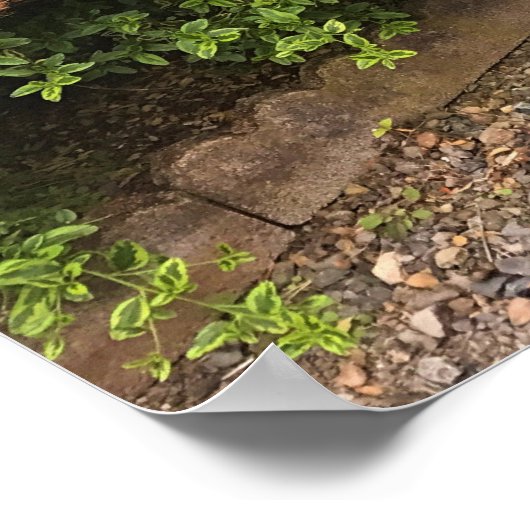 Farbenfrohe Dekoration aus Windows & Bench Garden (Ecke)