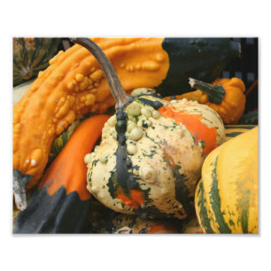 Farbenfrohe Dekorative Gourds Naher Herbst 8x10 Fotodruck