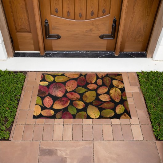Farbenfrohe Elegante Herbstreben auf schwarz Fußmatte (Außenbereich)