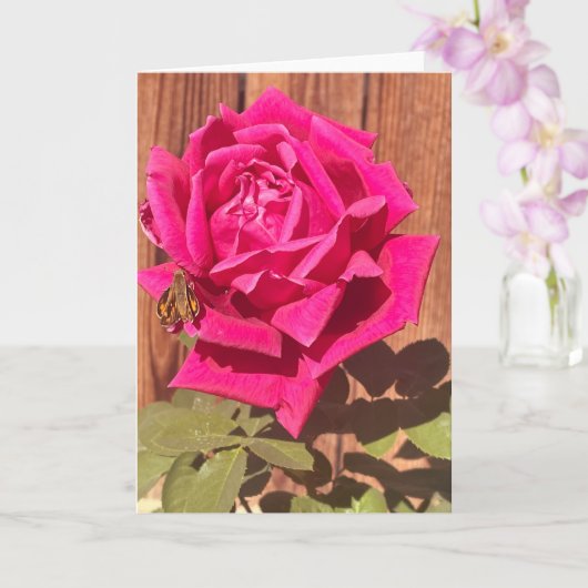 Farbenfrohe Elegante Rosa Blume Rosa Blütenfarben Karte (Orchidee)