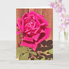 Farbenfrohe Elegante Rosa Blume Rosa Blütenfarben Karte