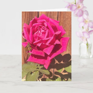 Farbenfrohe Elegante Rosa Blume Rosa Blütenfarben Karte