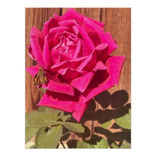 Farbenfrohe Elegante Rosa Blume Rosa Blütenfarben Poster (Vorderseite)