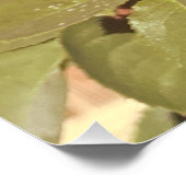 Farbenfrohe Elegante Rosa Blume Rosa Blütenfarben Poster (Ecke)