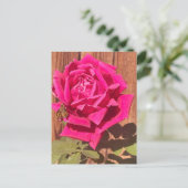 Farbenfrohe Elegante Rosa Blume Rosa Blütenfarben Postkarte (Stehend Vorderseite)