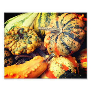 Farbenfrohe Extravagante Gourds Nah bis 8x10 Fotodruck