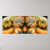 Farbenfrohe Extravagante Gourds Nah-Up Mirror Abst Poster (Vorne)