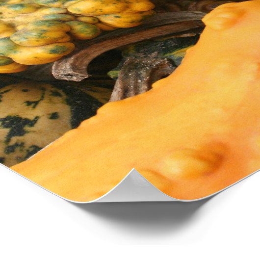 Farbenfrohe Extravagante Gourds Nah-Up Mirror Abst Poster (Ecke)