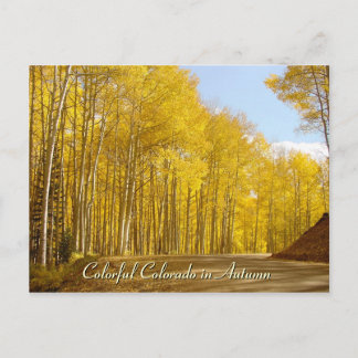 Farbenfrohe Farben im Herbst Postkarte