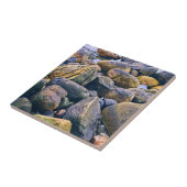 Farbenfrohe Felsen Fliese (Seite)