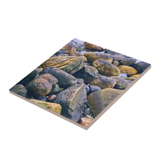 Farbenfrohe Felsen Fliese (Seite)