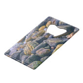 Farbenfrohe Felsen Geldbeutel Flaschenöffner (Rückseite Schrägansicht)