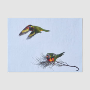 Farbenfrohe fliegende Lorikeet Papageien Australie Seidenpapier