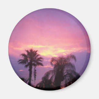 Farbenfrohe Florida Sunset Magnet