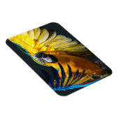 Farbenfrohe Flugbahn auf dunklem Hintergrund Magnet (Rechte Seite)