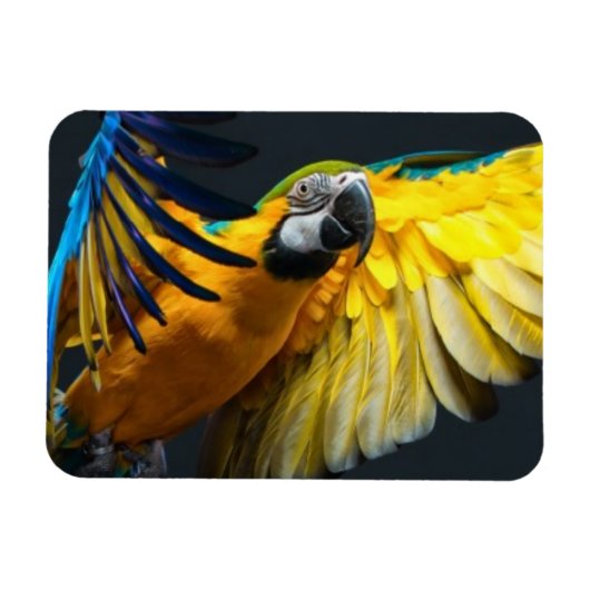 Farbenfrohe Flugbahn auf dunklem Hintergrund Magnet (Horizontal)